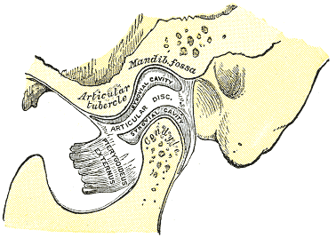 https://jackollasonfamilydentistry.com/wp-content/uploads/2023/10/gray311-fb73f1-small.png